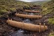 Supporting UK Peatland Restoration through Engineered Coir Systems