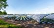 Agricultural Films Market Size Worth Over USD 21.1 Billion by 2031 | Increasing Demand in Modern Industries