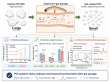 Study Finds Superworms Can Biodegrade Persistent PVC Microplastics 