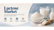 Lactose Market US$3.1 Bn to US$4.6 Bn by 2033 Driven by Dairy Demand Growth