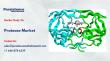 Protease Market US$2.5 bn in 2026 to US$4.1 bn by 2033 driven by enzyme growth