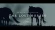 Filmmaker Ashley Avis and NYT Bestselling Poet Atticus Team Up to Save American Horses