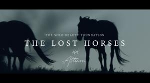 Today, Los Angeles filmmaker Ashley Avis launched a new PSA for The Lost Horses campaign featuring an original poem written and narrated by New York Times bestselling author Atticus, the famously anonymous poet whose work has captivated millions of readers around the world The Lost Horses in collaboration with NY Times Bestseller Atticus
