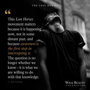 Atticus Quote 2: Lost Horses