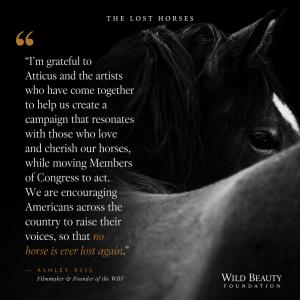 Ashley Avis Quote 1: Lost Horses