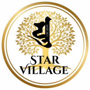 369 Star Village