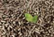 Global Leading Biomass Pellet Production Line Provider: 5 Success Factors from the Vietnam Woodworking Fair
