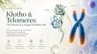 Nature.com Spotlights Saisei Pharma's MAF Research on Nutrition and Longevity