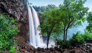 Kapildhara Waterfall - Amarkantak