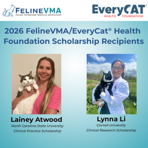 2026 FelineVMA/EveryCat Scholarship Recipients