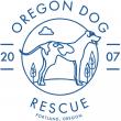 Odd Dog Media, Oregon Dog Rescue Host Giveaway: Free Puppy Party Experience for Local Businesses