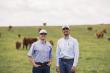 Weatherbys genomics boosts performance and profit for US ranchers