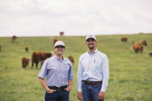 Two ranchers in field with Hereford cattle