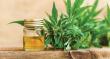 CBD Nutraceuticals Market Expands as Wellness Demand Accelerates Globally