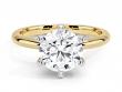 Luxury Lab Created Diamond Engagement Rings Manufacturer: FLORAL JEWELRY's Diverse Bridal Collections