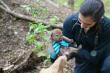 Red Wolf pup born at the Wolf Conservation Center.