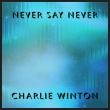 CHARLIE WINTON ANNOUNCES NEW SINGLE & LYRIC VIDEO 'NEVER SAY NEVER' FROM THE ALBUM SHADOWLAND · OUT NOW