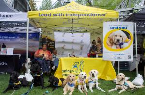 Two volunteers sitting in the Canine Companions booth at the 2025 GoPro Mountain Games with seven service dogs in training laying down in a line