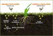 Fertilizer Industry Trends: Growth, Innovation, and Forecast, 2030