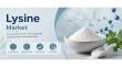 Lysine Market to Reach US$9.7 Bn by 2033 Driven by Animal Feed Demand