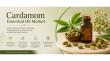 Cardamom Essential Oil Market Expands on Rising Demand for Natural Wellness