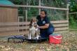 Virginia's Dancing Creek Farm Expands Services to Include Pet Trust and Forever Dog Protection Plans