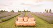 Ontario Farm Limits Summer Visits to 30 Guests Per Day for a More Intentional Experience