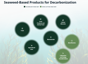 Ocean Visions today announced the launch of its Seaweed-Based Products for Decarbonization road map, a first-of-its-kind digital resource designed to help guide the responsible development and scaling of seaweed-based products that could reduce greenhouse gas emissions across multiple industries Seaweed-Based Products for Decarbonization Road Map