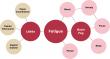 Joylux releases real-world analysis of 23,000+ women finding menopause operates as an interconnected symptom network