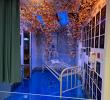 Mexican-American Artist Olivia Barrionuevo Transforms Former Hospital ICU Into Immersive Butterfly Installation