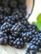Sorbitol Market Set for Robust Growth Driven by Health and Sustainability Trends