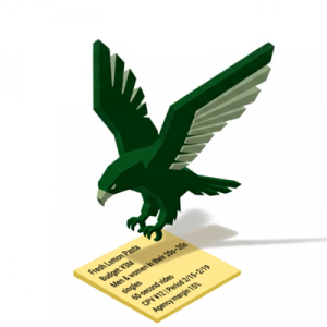 How HAWK works