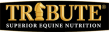 TRIBUTE AND PATH INTL. PARTNER TO SUPPORT VETERANS FOR AMERICA 250