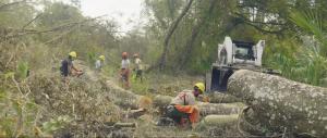 The Florida State Parks Foundation this week announced a new storm recovery strike team trailer for the award-winning Florida Park Service.
