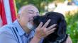GUIDE DOGS OF AMERICA | TENDER LOVING CANINES INVITES SOUTHERN CALIFORNIA TO CELEBRATE EVERYDAY HEROES AT OPEN HOUSE