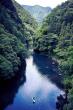 Leave No Trace Drives TOKYO Sustainable Tourism Through Experiential Learning in Tokyo’s Forests