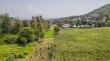 World’s leading forest & agroforestry research centres relaunch as Landscape Alliance to scale up nature-based solutions