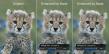 Aiarty Image Enhancer Helps Enhance APS-C Photos Affected by Noise, Blur, and Heavy Cropping