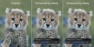 Aiarty Image Enhancer Reduce Noise Wildlife Photos