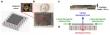 Highly stable diamagnetically levitated mechanical resonators with large masses exceeding 1.5 gram