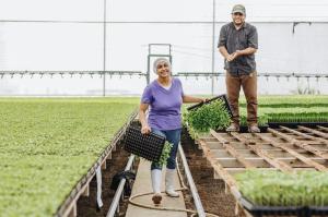 Dinant Greenhouse workers