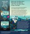 Discover the Wonders Beneath the Waves with The Fly Who Flew Under the Sea