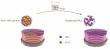 Advanced nanoporous SiO2 coatings for ultraviolet laser-resistant optics