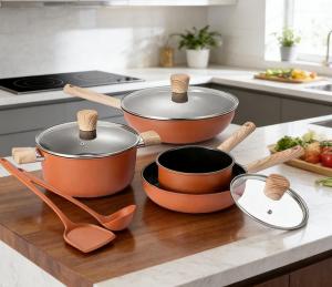  Ceramic coating cookware manufacturer DESLON China leading supplier