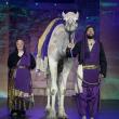 NarroWay Theatre Prepares to Welcome Baby Camel Cleopatra to Fort Mill Stage Family