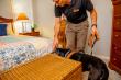 Rock Pest Control Launches Summer Bed Bug Giveaway as Kansas City Prepares for World Cup Travel Surge