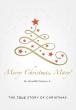 Merry Christmas, Mary! Brings the True Biblical Christmas Story to Life Through Creative Rhyming Verse