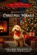Christmas Miracle - Chronicles. New movie coming up this holiday season. 