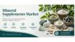 Mineral Supplements Market Nears US$31.3 Bn by 2033 Driven by Nutritional Demand