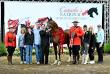 Arabian Horse Association Celebrates Canada’s National Arabian Championship